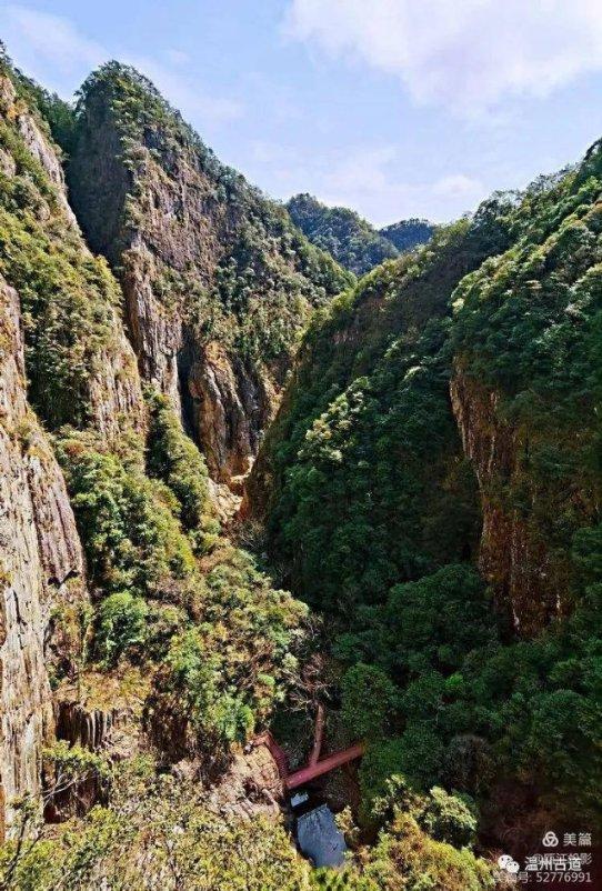 植物大战僵尸7